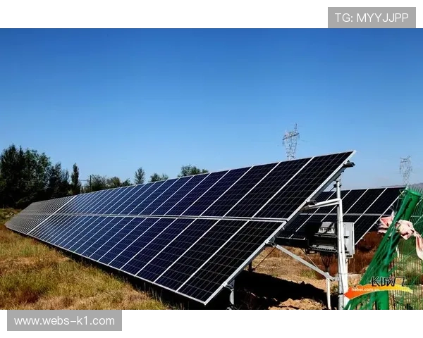 信号协作链向基层赛事延伸 推动产业整体制作水平提升